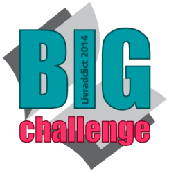 big challenge 2014