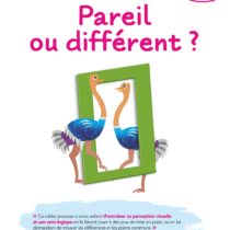 Cahiers d’exercice Kumon : Créativité et Pareil ou différent ?