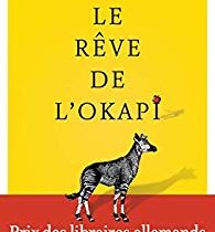 Le rêve de l’okapi